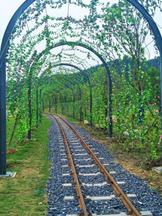 史提芬填色书